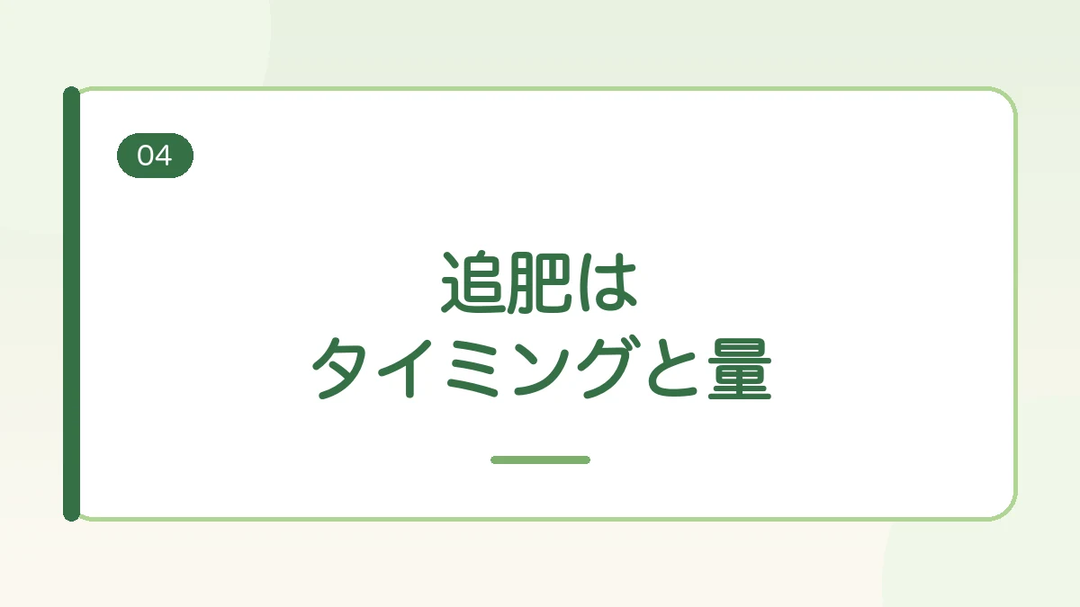 玉ねぎの追肥のタイミングと量を紹介する見出しバナー画像