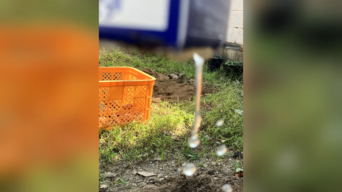 牛乳パックの底から水が抜けて落ちているところの実物写真