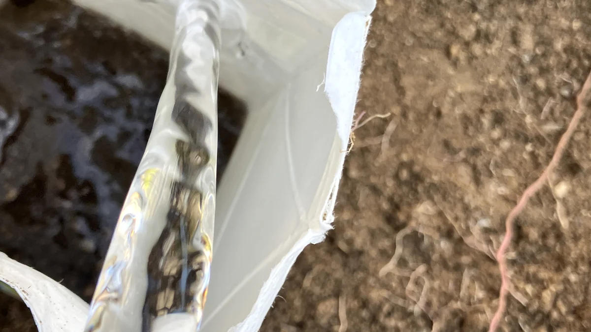 土を入れた牛乳パックに水を注いで水はけを確かめているところの実物写真