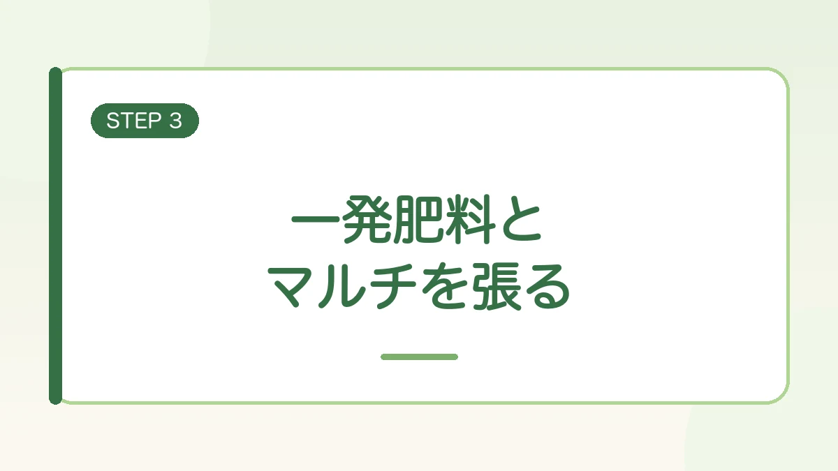 玉ねぎの土づくりのステップ3、一発肥料とマルチを紹介する見出しバナー画像