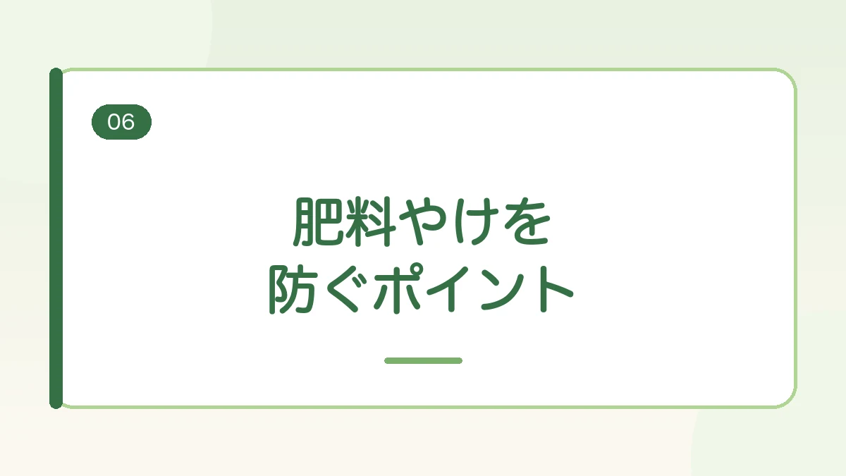 玉ねぎの肥料やけを防ぐポイントを紹介する見出しバナー画像