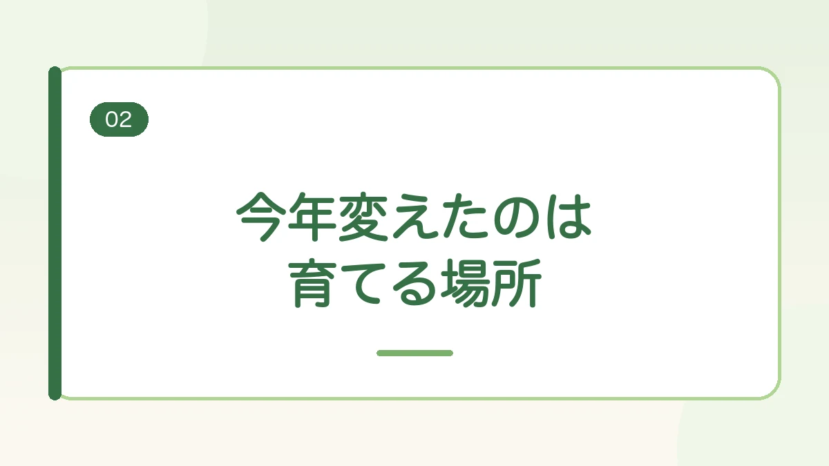 今年はさつまいもを育てる場所を変えたことを伝える見出しバナー画像