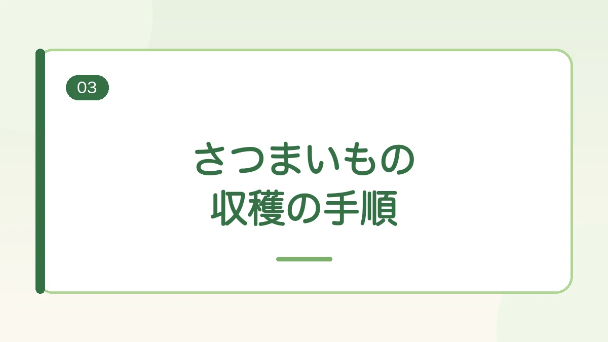 さつまいもの収穫の手順を紹介する見出しバナー画像
