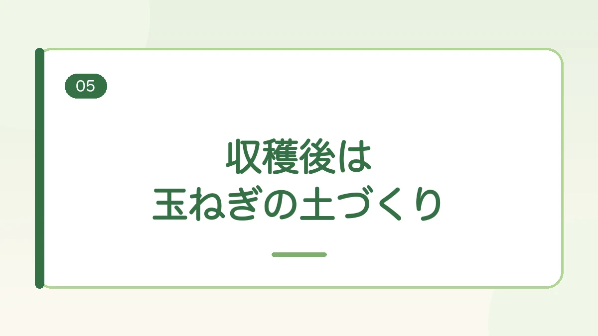 さつまいもの収穫後に玉ねぎの土づくりへ進むことを伝える見出しバナー画像