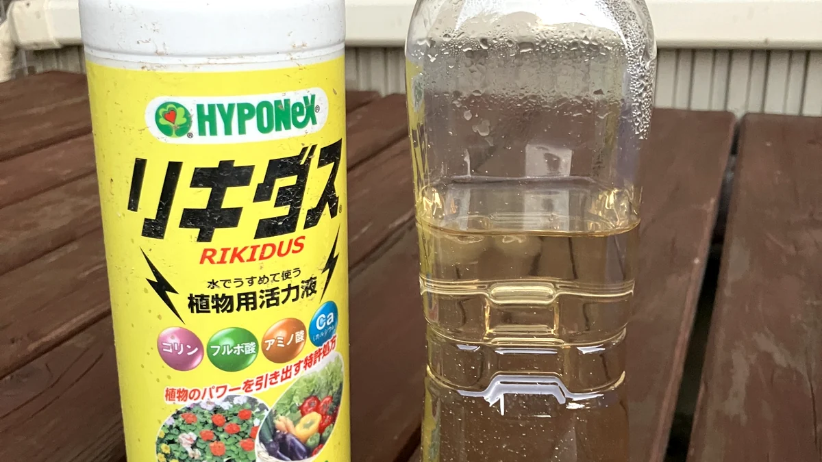 ハイポネックスの活力液リキダスと、薄めてペットボトルに作り置きした液の実物写真